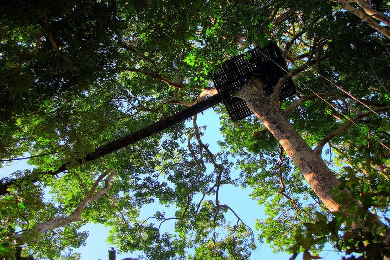 Thailand, Pattaya, Flight of the Gibbon